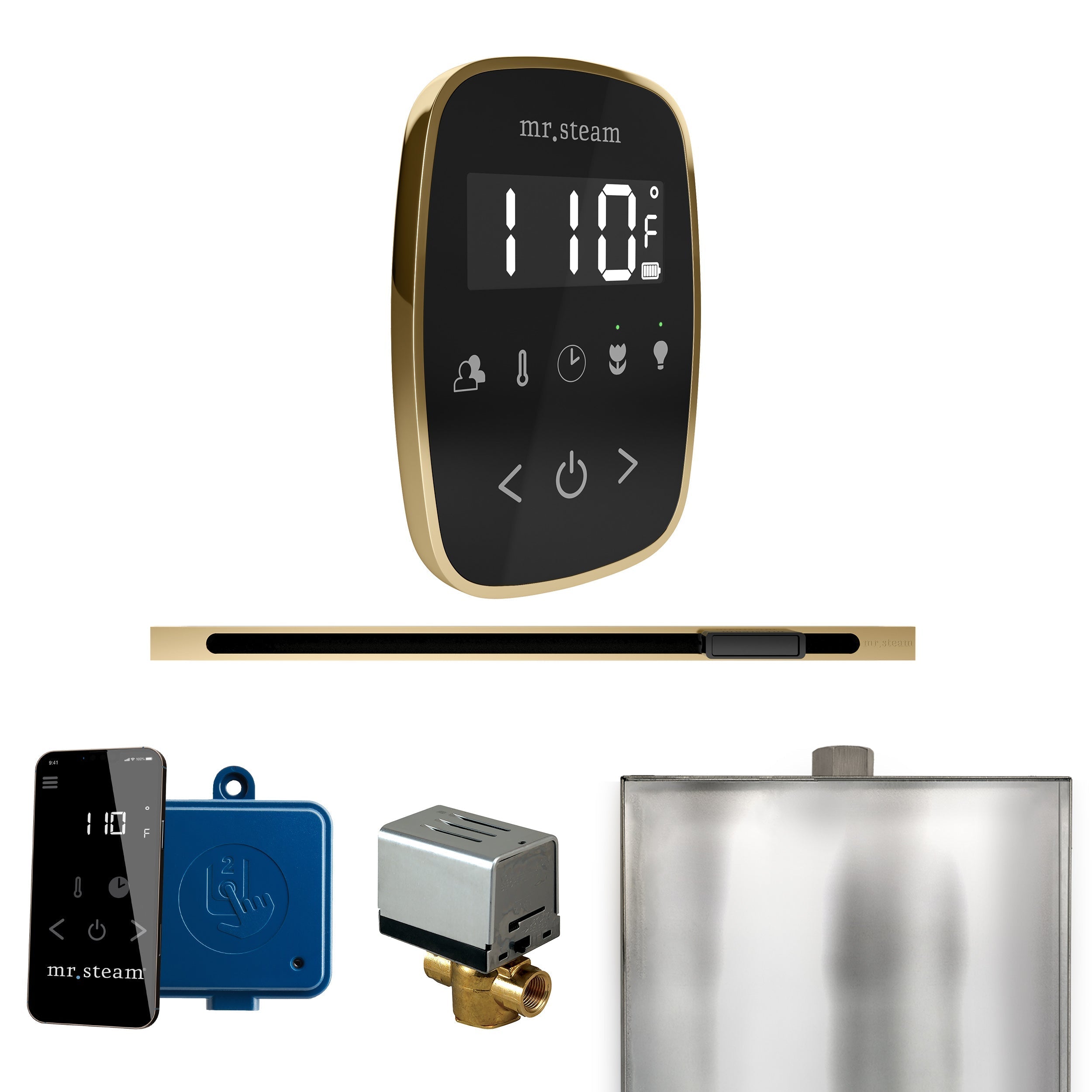 Mr. Steam ButlerFlex Steam Shower Control Package with TempoFlex Control and Linear Steamhead