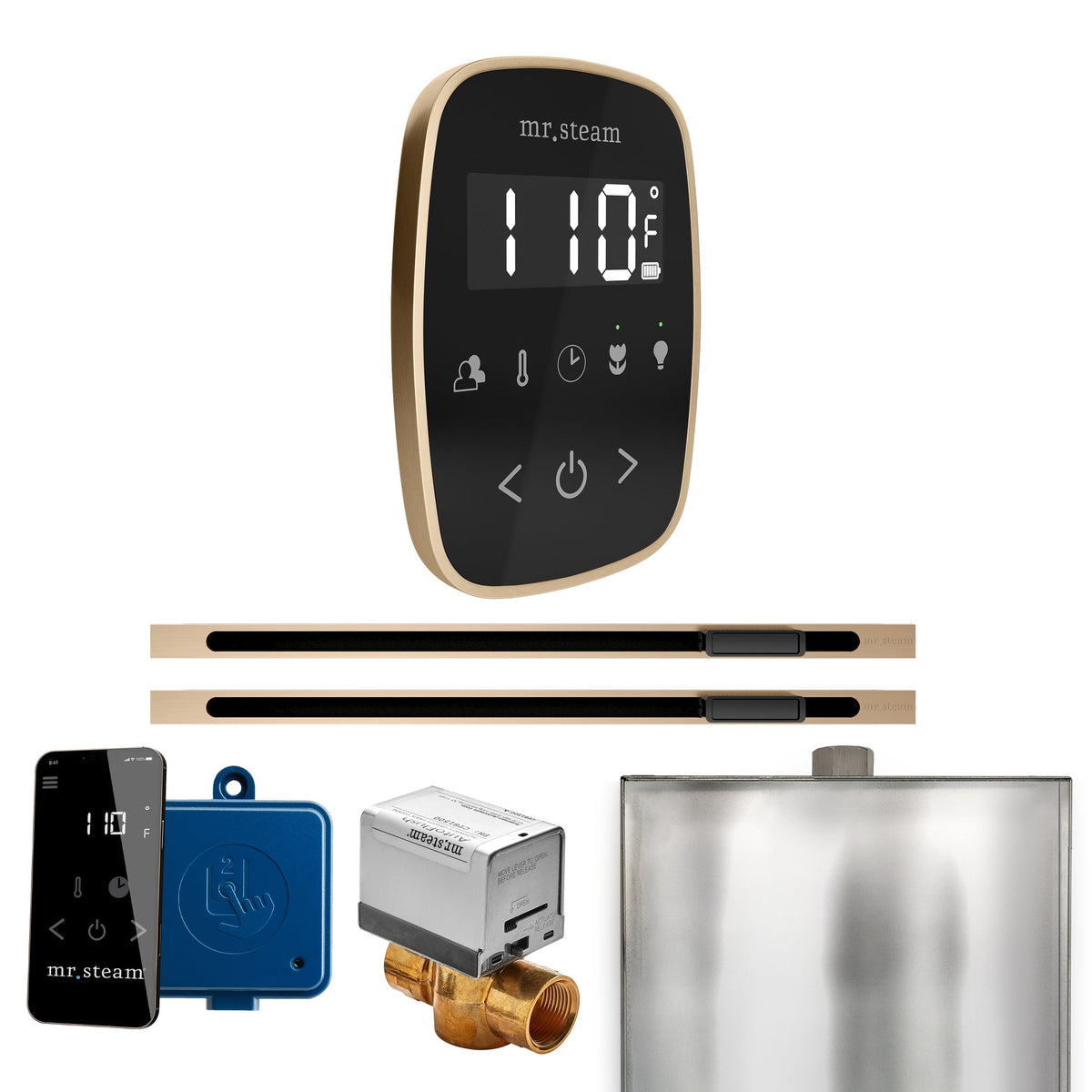 Mr. Steam ButlerFlex Max Steam Shower Control Package with TempoFlex Control and Linear Steamhead