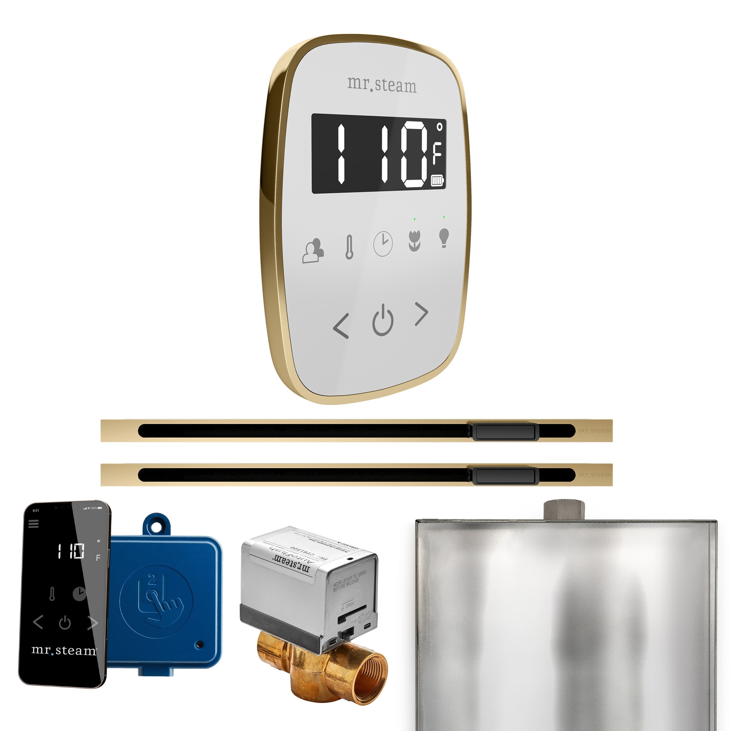 Mr. Steam ButlerFlex Max Steam Shower Control Package with TempoFlex Control and Linear Steamhead