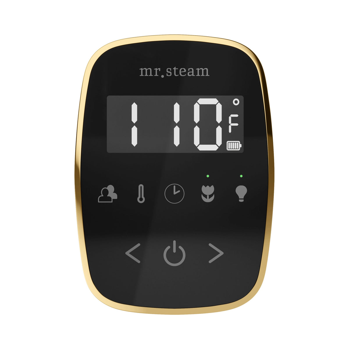 Mr. Steam TempoFlex Steam Shower Control and Steamhead