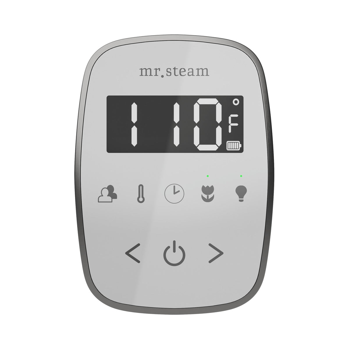 Mr. Steam TempoFlex Steam Shower Control and Steamhead