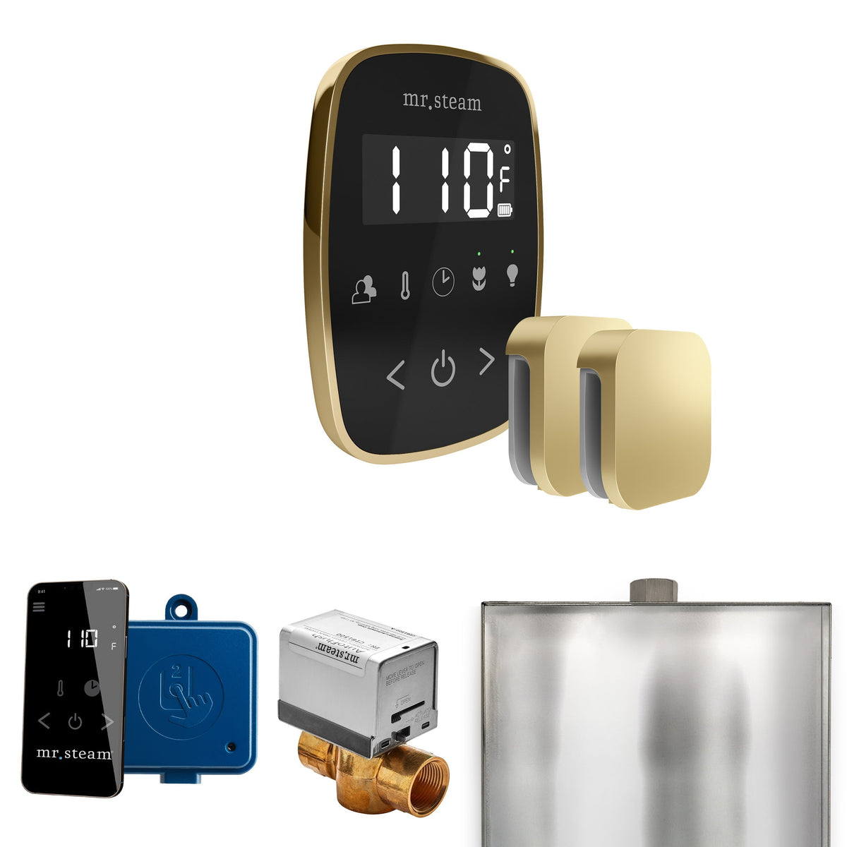 Mr. Steam ButlerFlex Max Steam Shower Control Package with TempoFlex Control and Steamhead