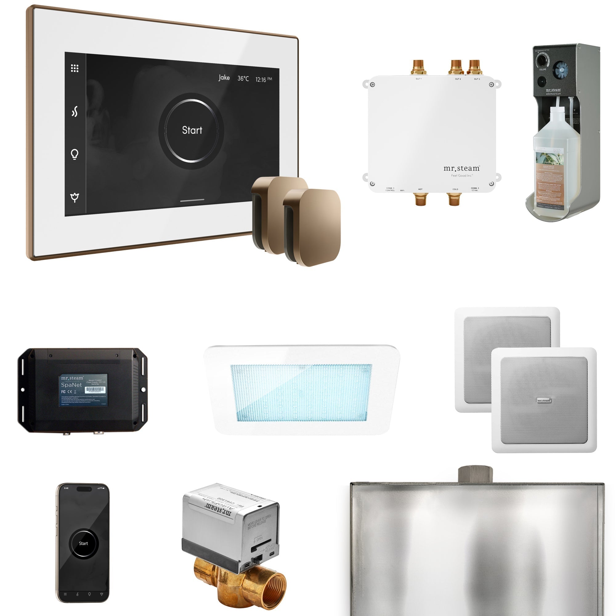 Mr. Steam Bliss Max Steam Shower Control Package with iSteamX Control and Steamhead
