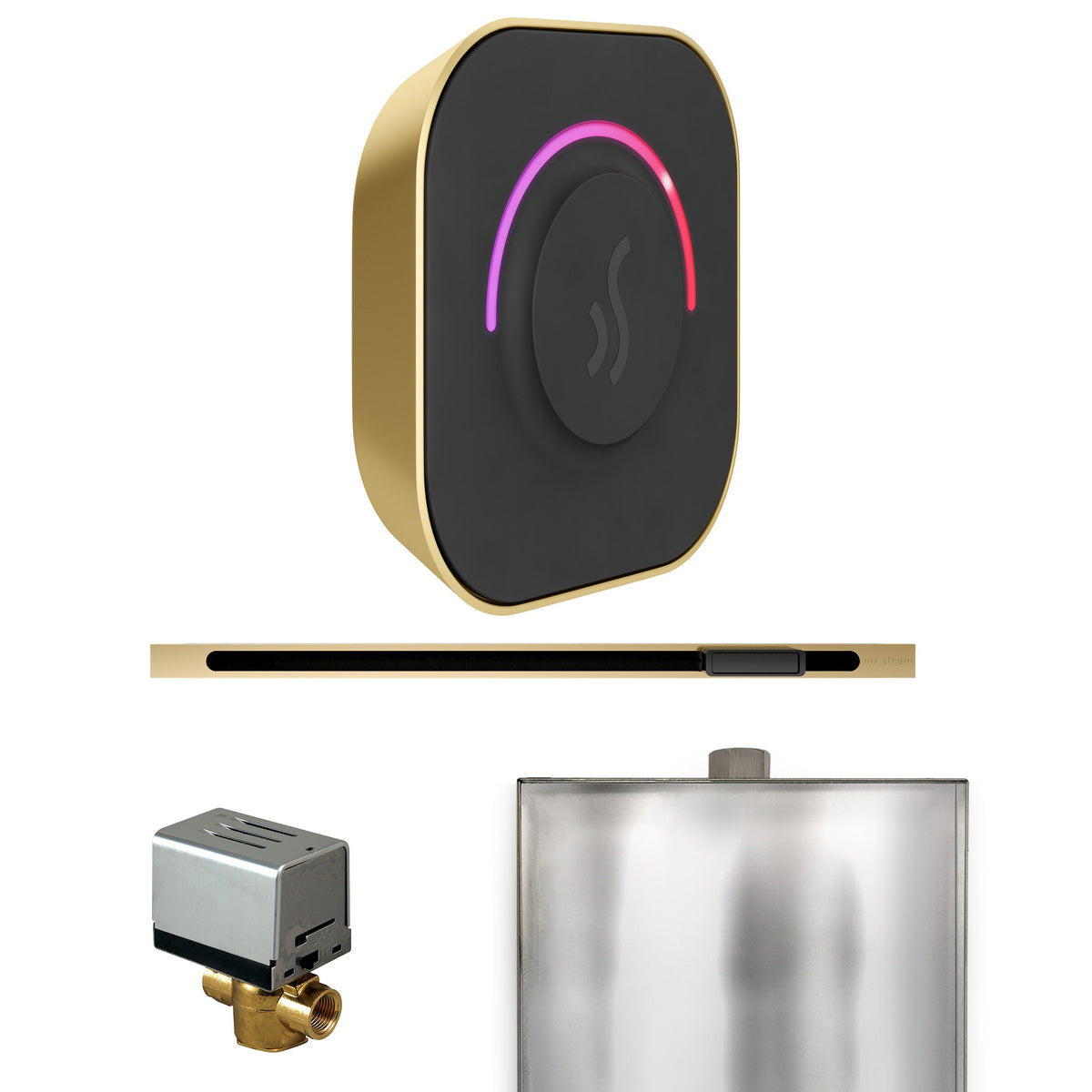 Mr. Steam ButlerTouch Steam Shower Control Package with TempoTouch Control and Linear Steamhead