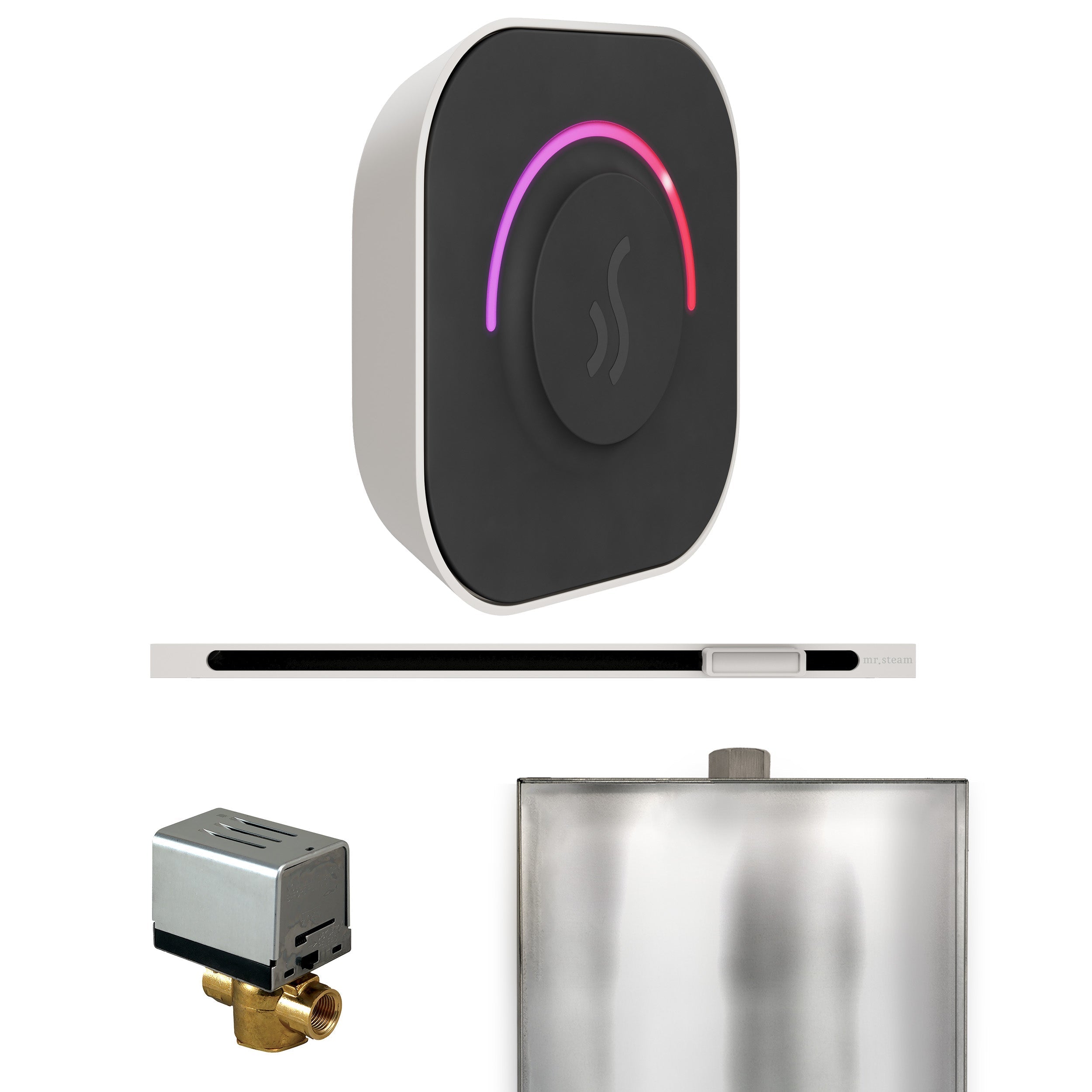Mr. Steam ButlerTouch Steam Shower Control Package with TempoTouch Control and Linear Steamhead