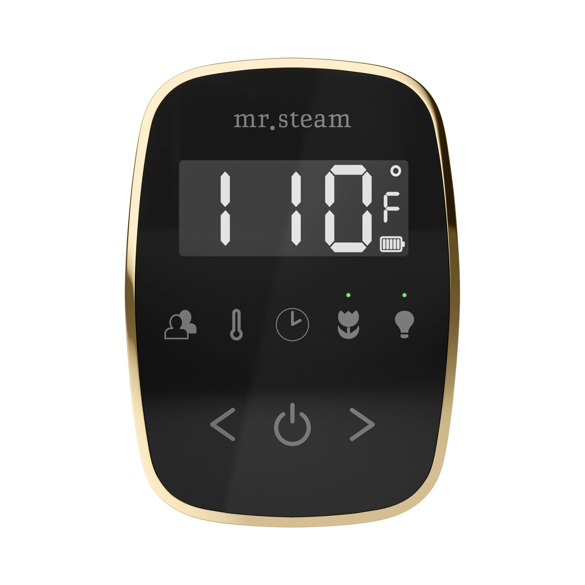 Mr. Steam TempoFlex Steam Shower Control and Steamhead