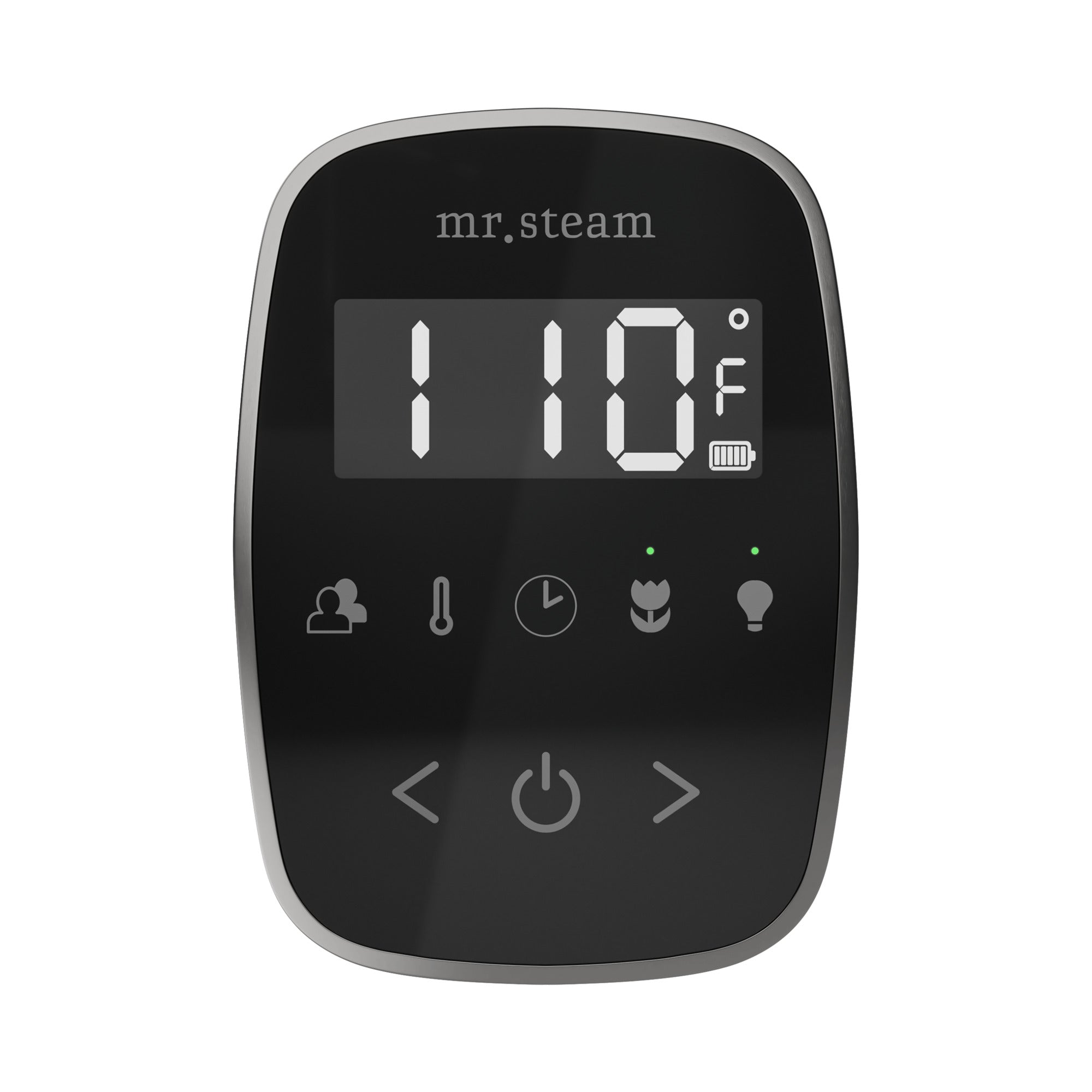 Mr. Steam TempoFlex Steam Shower Control and Steamhead