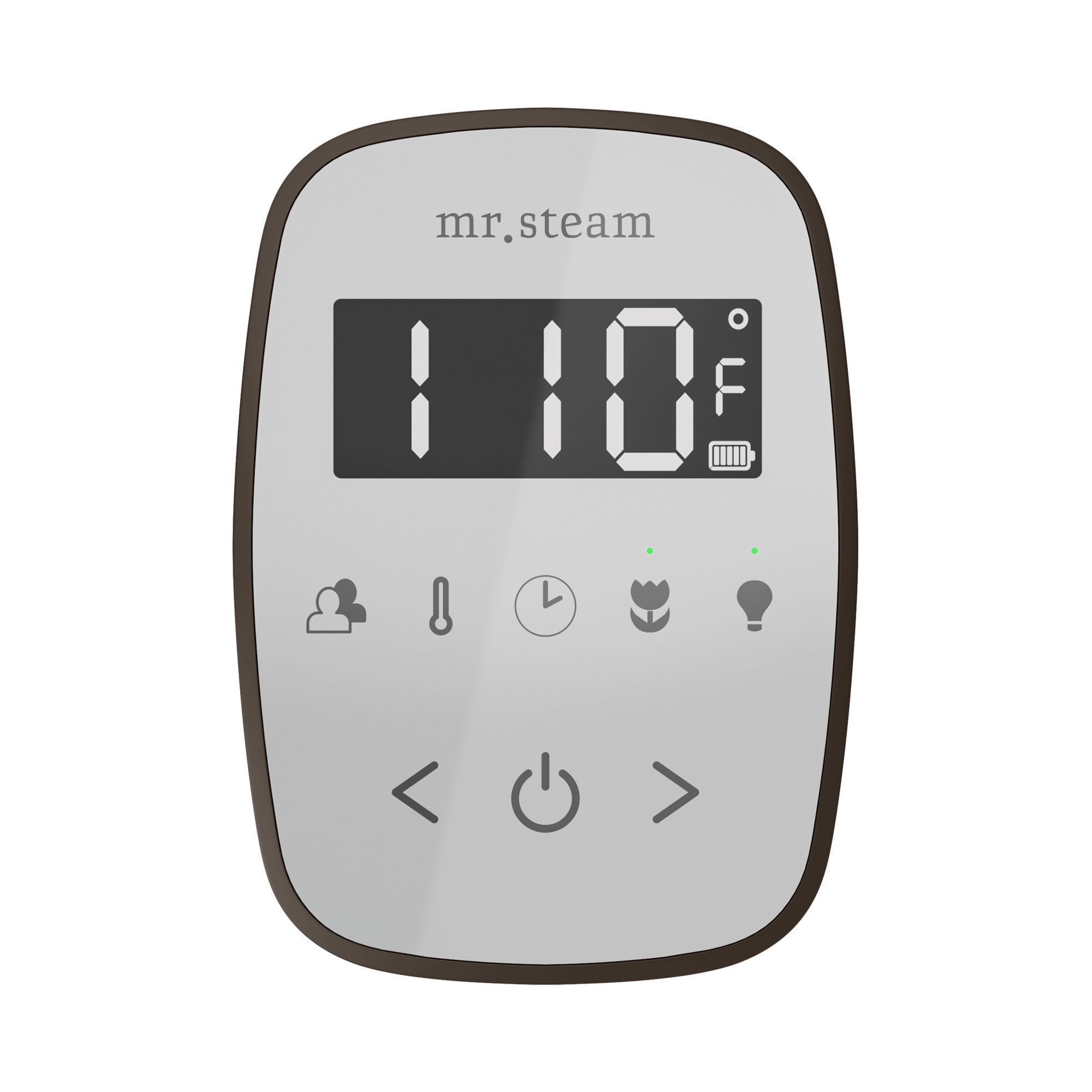 Mr. Steam TempoFlex Steam Shower Control and Steamhead