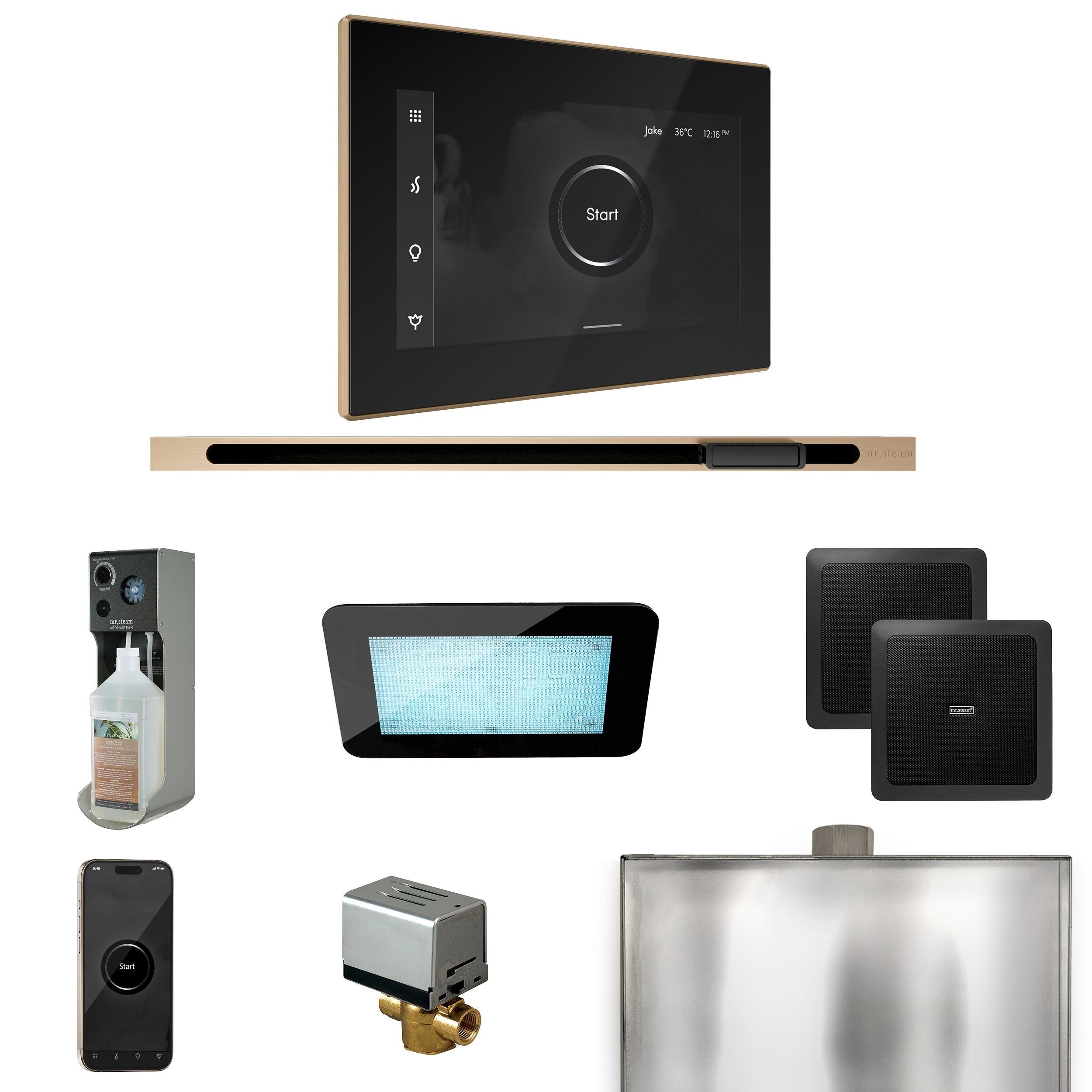 Mr. Steam XDream Steam Shower Control Package with iSteamX Control and Linear Steamhead